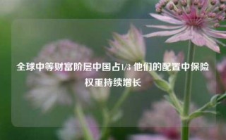 全球中等财富阶层中国占1/3 他们的配置中保险权重持续增长