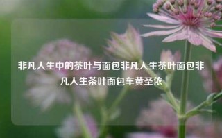 非凡人生中的茶叶与面包非凡人生茶叶面包非凡人生茶叶面包车黄圣依