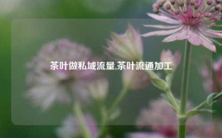 茶叶做私域流量,茶叶流通加工