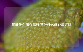 茶叶什么保存最好,茶叶什么保存最好喝