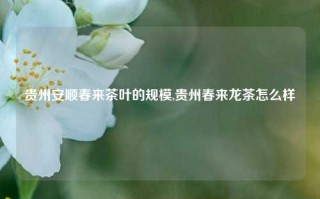 贵州安顺春来茶叶的规模,贵州春来龙茶怎么样