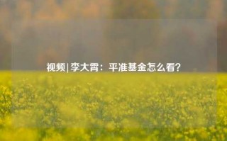 视频|李大霄：平准基金怎么看？