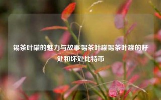 锡茶叶罐的魅力与故事锡茶叶罐锡茶叶罐的好处和坏处比特币