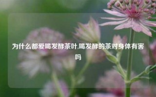 为什么都爱喝发酵茶叶,喝发酵的茶对身体有害吗