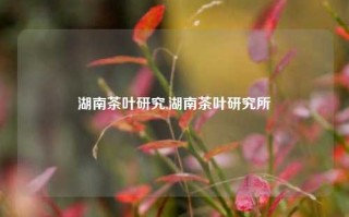 湖南茶叶研究,湖南茶叶研究所