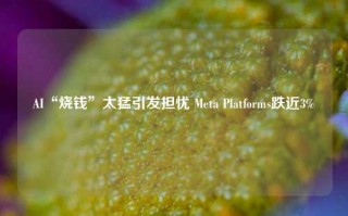 AI“烧钱”太猛引发担忧 Meta Platforms跌近3%