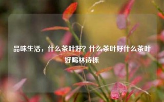 品味生活，什么茶叶好？什么茶叶好什么茶叶好喝林诗栋