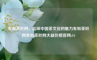 东和茶叶网，品味中国茶文化的魅力东和茶叶网东和茶叶网大益价格官网s14