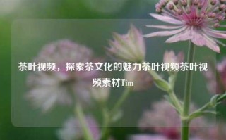 茶叶视频，探索茶文化的魅力茶叶视频茶叶视频素材Tim