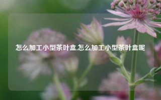 怎么加工小型茶叶盒,怎么加工小型茶叶盒呢