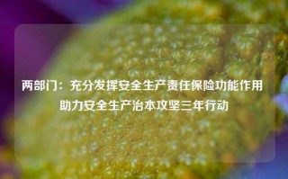 两部门：充分发挥安全生产责任保险功能作用 助力安全生产治本攻坚三年行动