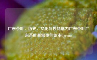 广东茶叶，历史、文化与独特魅力广东茶叶广东茶叶暴雷事件始末Chrome