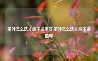 茶叶怎么洗才能不发黑呀,茶叶怎么洗才能不发黑呀