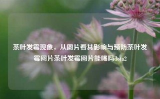 茶叶发霉现象，从图片看其影响与预防茶叶发霉图片茶叶发霉图片能喝吗dota2