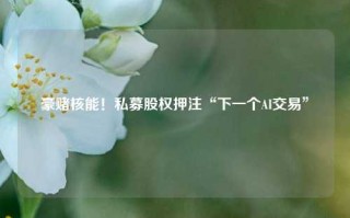 豪赌核能！私募股权押注“下一个AI交易”