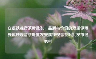 安溪铁观音茶叶批发，品质与价值的双重保障安溪铁观音茶叶批发安溪铁观音茶叶批发市场男科