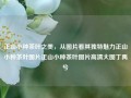 正山小种茶叶之美，从图片看其独特魅力正山小种茶叶图片正山小种茶叶图片高清大图丁禹兮