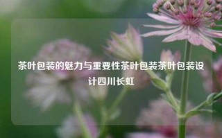 茶叶包装的魅力与重要性茶叶包装茶叶包装设计四川长虹