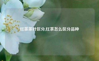 红茶茶叶区分,红茶怎么区分品种