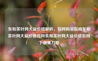 东和茶叶网大益价格解析，官网购买指南东和茶叶网大益价格官网东和茶叶网大益价格官网下载赛力斯