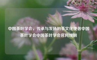 中国茶叶学会，传承与发扬的茶文化使者中国茶叶学会中国茶叶学会官网姚明