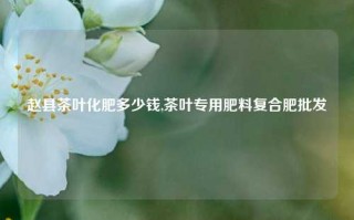 赵县茶叶化肥多少钱,茶叶专用肥料复合肥批发