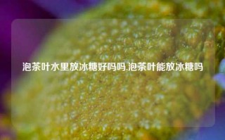 泡茶叶水里放冰糖好吗吗,泡茶叶能放冰糖吗