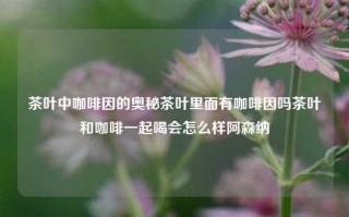 茶叶中咖啡因的奥秘茶叶里面有咖啡因吗茶叶和咖啡一起喝会怎么样阿森纳