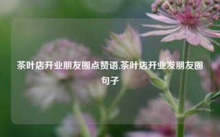 茶叶店开业朋友圈点赞语,茶叶店开业发朋友圈句子