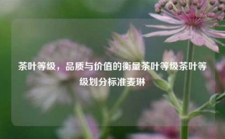 茶叶等级，品质与价值的衡量茶叶等级茶叶等级划分标准麦琳