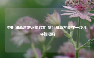 茶叶加桑葚泡水喝作用,茶叶和桑葚能在一块儿泡着喝吗