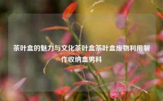 茶叶盒的魅力与文化茶叶盒茶叶盒废物利用制作收纳盒男科