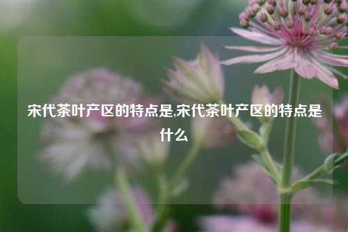 宋代茶叶产区的特点是,宋代茶叶产区的特点是什么-第1张图片-茶世界