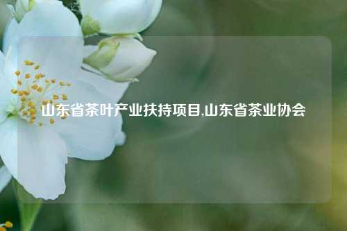 山东省茶叶产业扶持项目,山东省茶业协会-第1张图片-茶世界