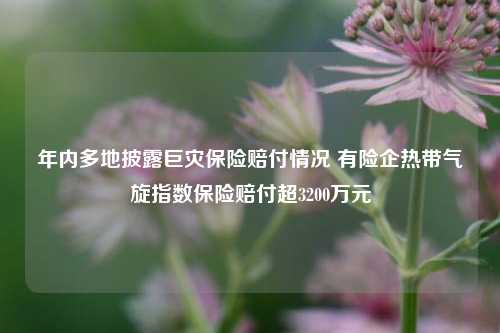 年内多地披露巨灾保险赔付情况 有险企热带气旋指数保险赔付超3200万元-第1张图片-茶世界