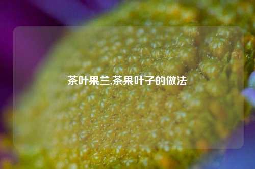 茶叶果兰,茶果叶子的做法-第1张图片-茶世界