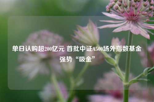 单日认购超200亿元 首批中证A500场外指数基金强势“吸金”-第1张图片-茶世界