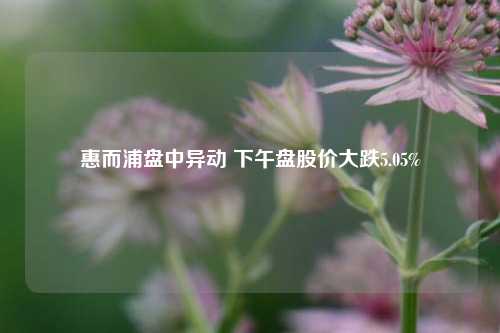 惠而浦盘中异动 下午盘股价大跌5.05%-第1张图片-茶世界