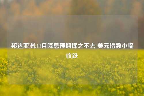 邦达亚洲:11月降息预期挥之不去 美元指数小幅收跌-第1张图片-茶世界