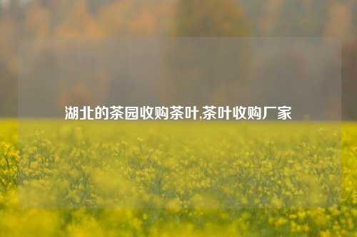 湖北的茶园收购茶叶,茶叶收购厂家-第1张图片-茶世界