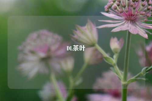 DL茶叶-第1张图片-茶世界