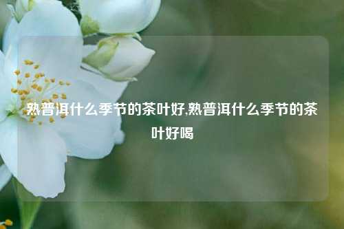 熟普洱什么季节的茶叶好,熟普洱什么季节的茶叶好喝-第1张图片-茶世界