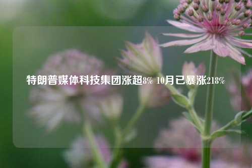 特朗普媒体科技集团涨超8% 10月已暴涨218%-第1张图片-茶世界