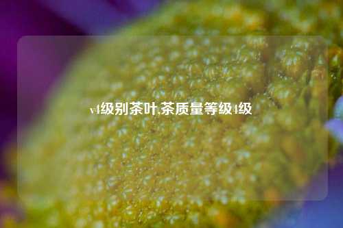 v4级别茶叶,茶质量等级4级-第1张图片-茶世界