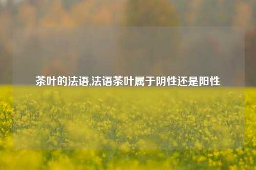 茶叶的法语,法语茶叶属于阴性还是阳性-第1张图片-茶世界