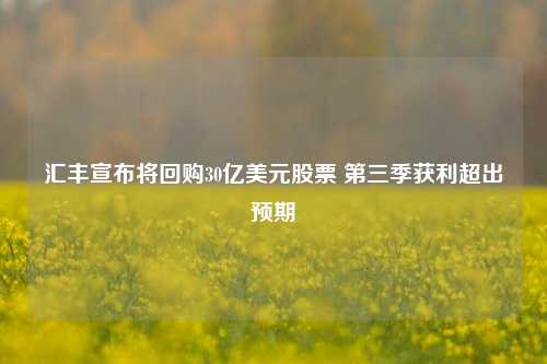 汇丰宣布将回购30亿美元股票 第三季获利超出预期-第1张图片-茶世界