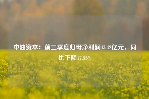 中油资本：前三季度归母净利润43.42亿元，同比下降17.55%-第1张图片-茶世界