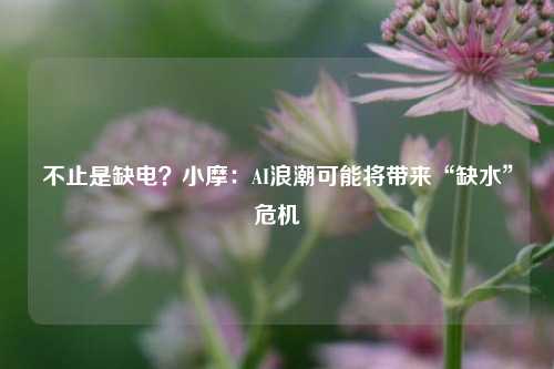 不止是缺电？小摩：AI浪潮可能将带来“缺水”危机-第1张图片-茶世界