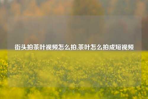 街头拍茶叶视频怎么拍,茶叶怎么拍成短视频-第1张图片-茶世界