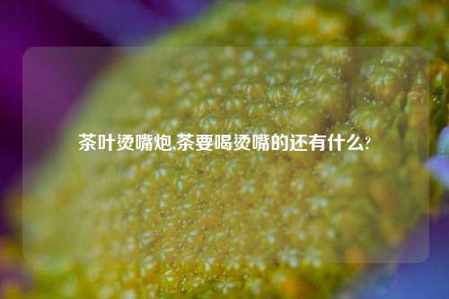 茶叶烫嘴炮,茶要喝烫嘴的还有什么?-第1张图片-茶世界